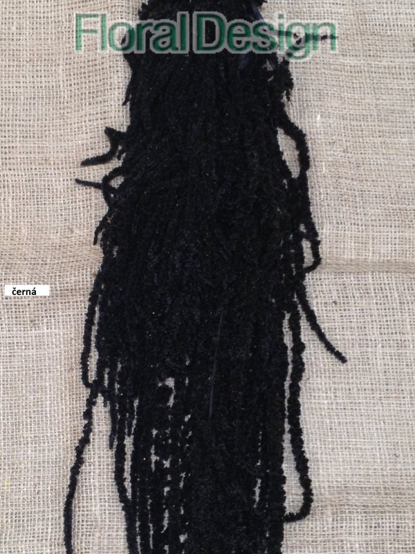 Amaranthus Cadente převisný 60cm světle zelená