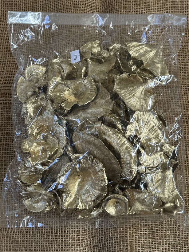 Golden muschrooms 100gr. zlatá