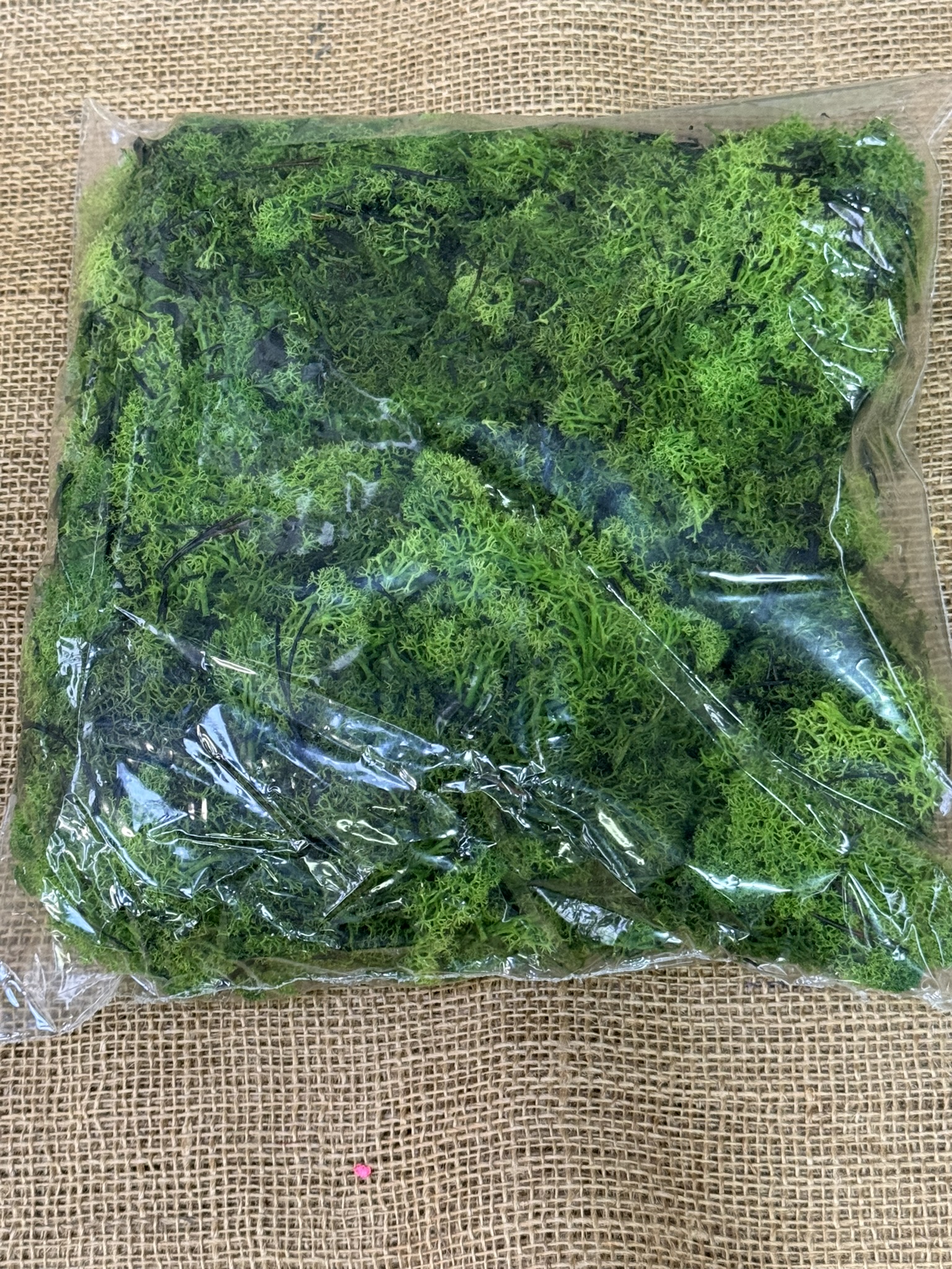 Mech 450-500gr. světle zelená