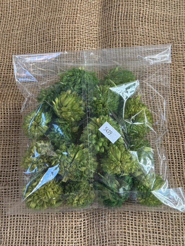 Fox Thistle 15 ks světle zelená