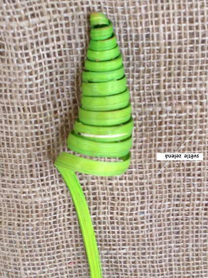 Cane cone big 25 ks světle zelená