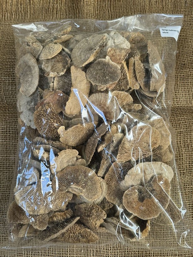 Choroš natur 500gr.