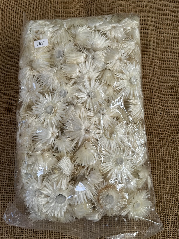 Helichrisum ( slaměnky ) 100gr. loose natur