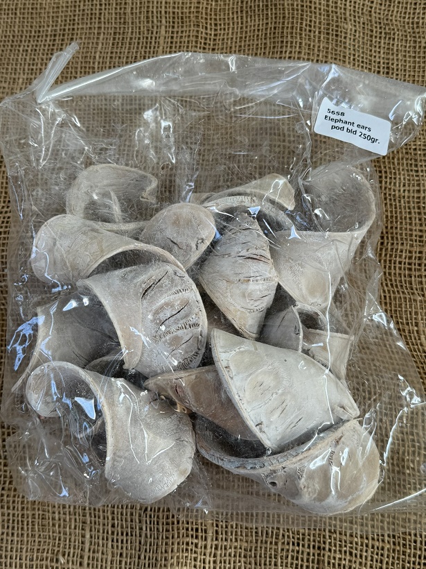 Elephant Ears pods 250gr. bělený