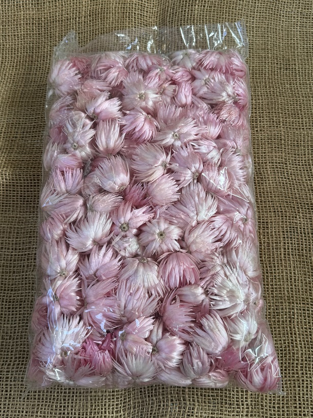 Helichrisum ( slaměnky ) 100gr. loose růžová