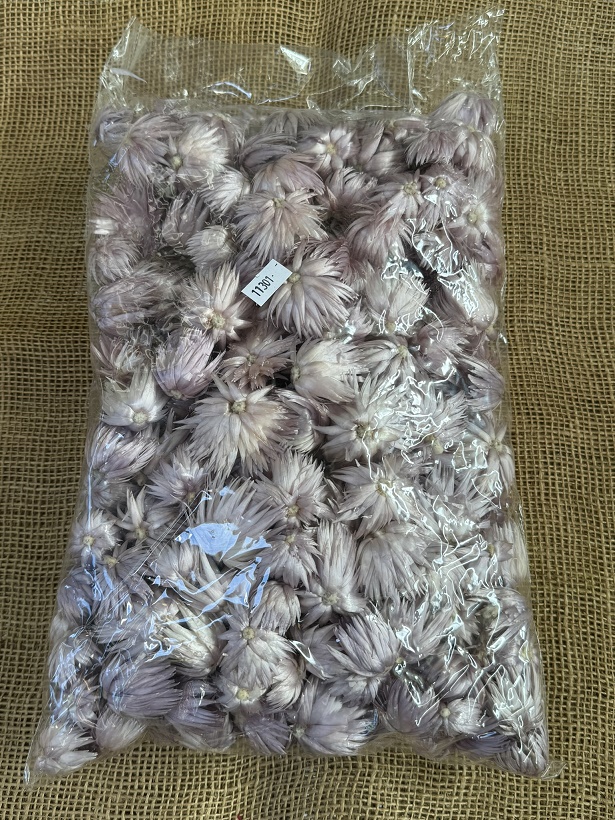 Helichrisum ( slaměnky ) 100gr. loose lila