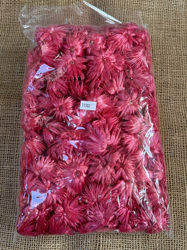 Helichrisum ( slaměnky ) 100gr. loose červená