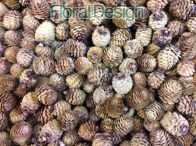 Sabulosum loose 250gr. natur