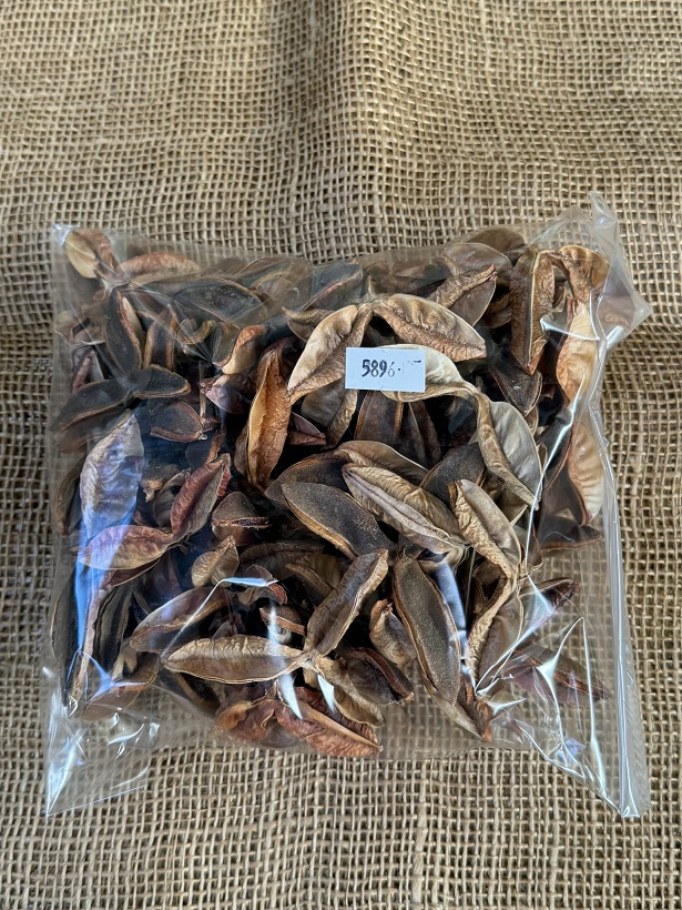 Pau Terra Estrela natur 200gr.