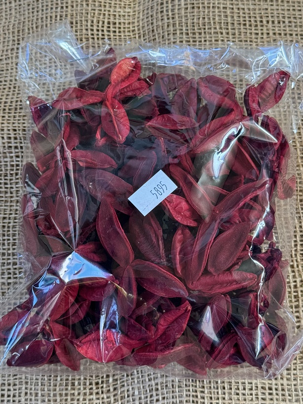 Pau Terra Estrela red 200gr.