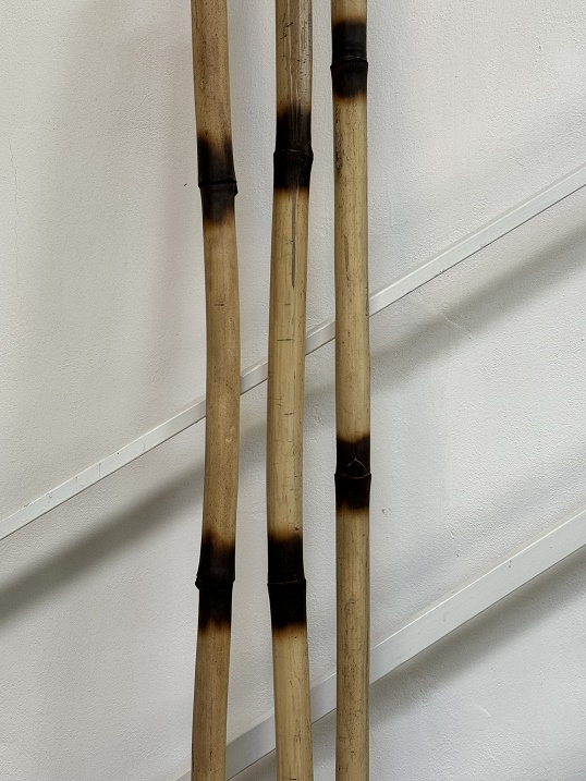 Bambus opálený 150cm