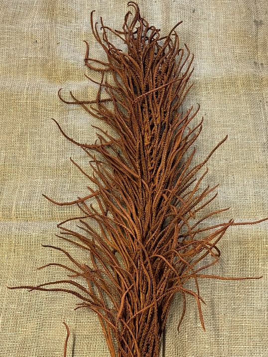 Cacho Ingrasso 120cm teracota