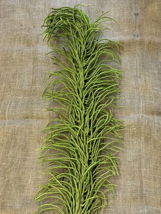 Cacho Ingrasso 120cm zelená