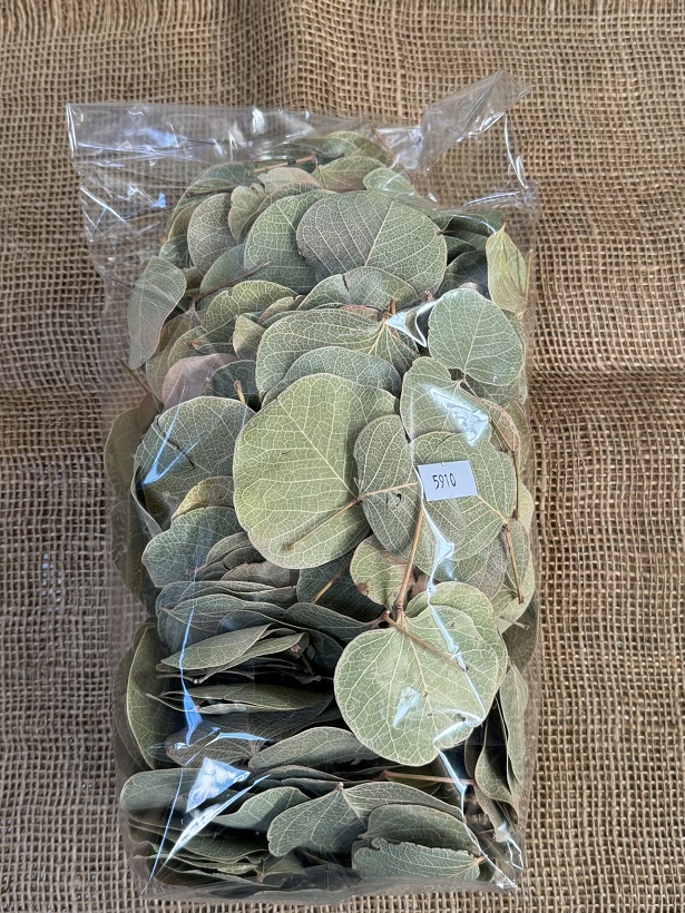 Moneta listy 100gr. natur