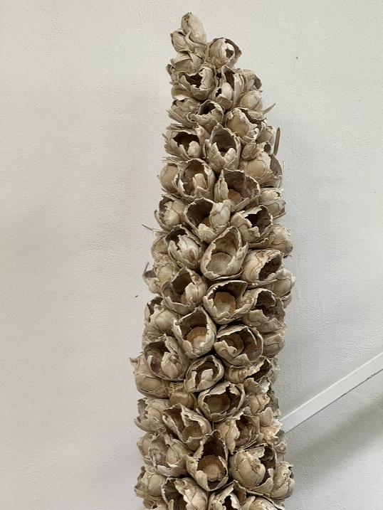 Cacho coco whole 130cm pouze délka květů bleached
