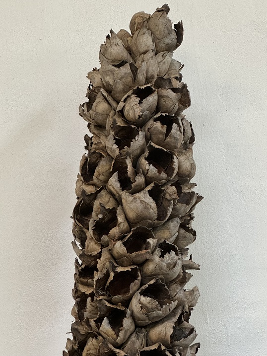 Cacho coco whole 90cm pouze délka květů natur