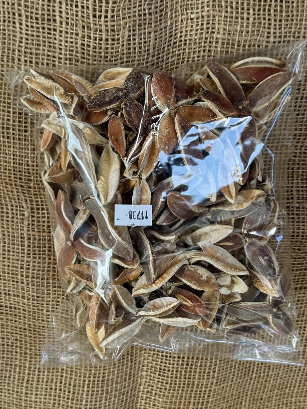 Pau Terra Estrela bělená 200gr.