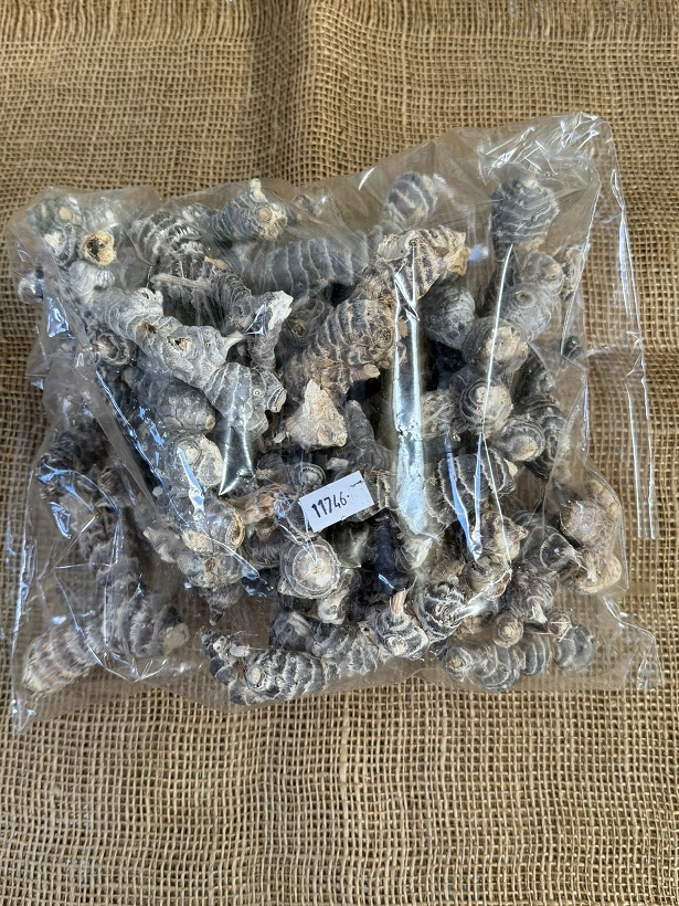 Toco root bleached loose 500gr.