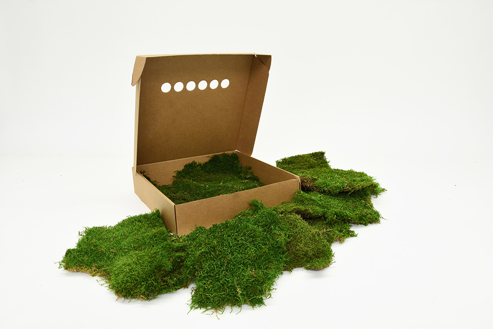 Mech plochý stabilizovaný zelená cca 850gr.