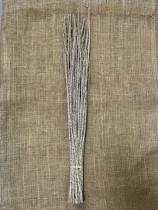 Acai grass 50-60cm natur