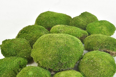 Mech "Ball" big natur zelená stabilizovaný